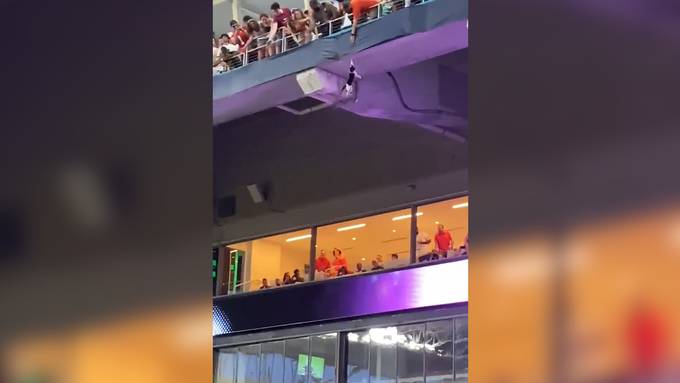 Football-Fans mit Flagge fangen abstürzende Katze auf