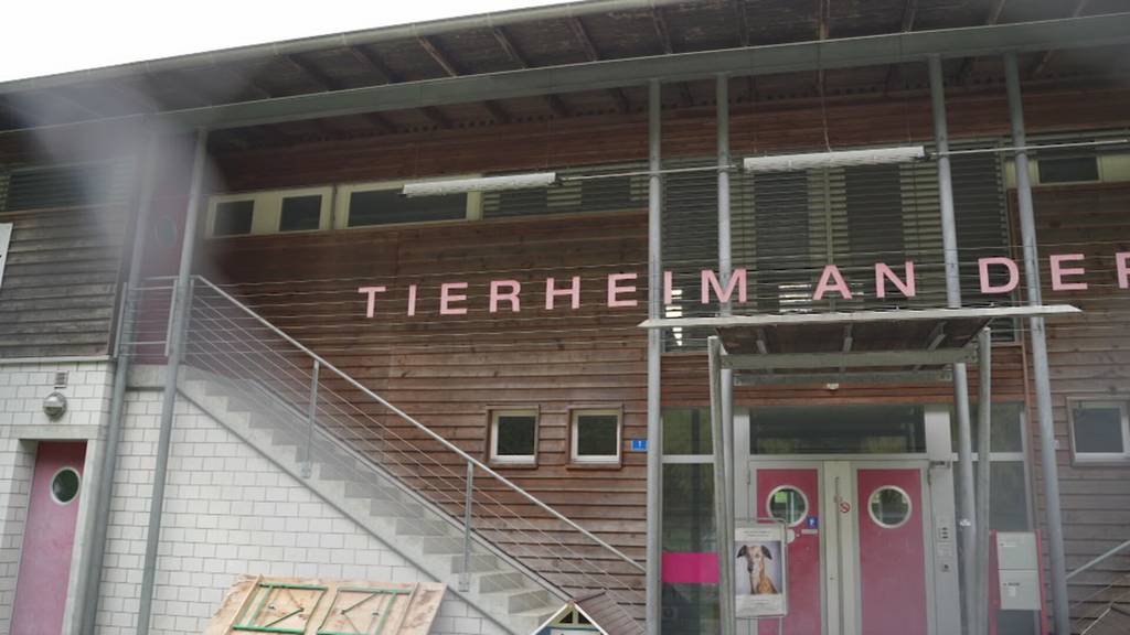 Tierheim hat keinen Platz mehr