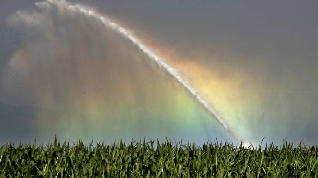 Aus den meisten Gewässern im Thurgau darf derzeit kein Wasser entnommen werden. (Symbolbild)