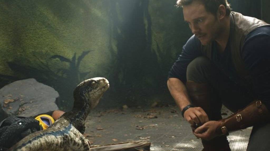 Chris Pratt in «Jurassic World: Fallen Kingdom.» Der Film hat gemäss US-Branchenblättern soeben die 1-Milliarden-Dollar-Marke geknackt. (zVg)