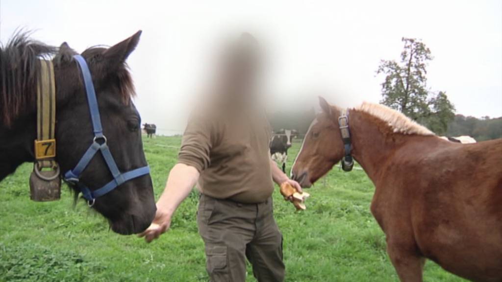 Behördenskandal im Fall Hefenhofen