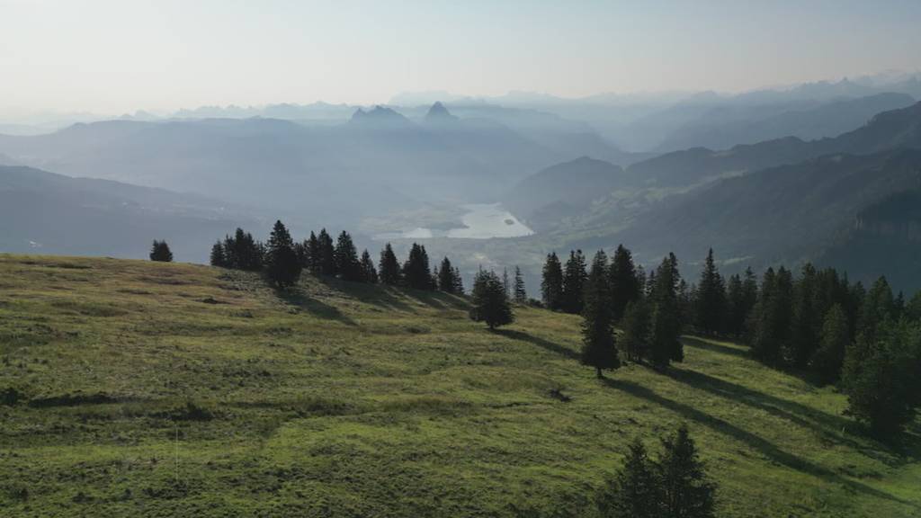Kurznachrichten