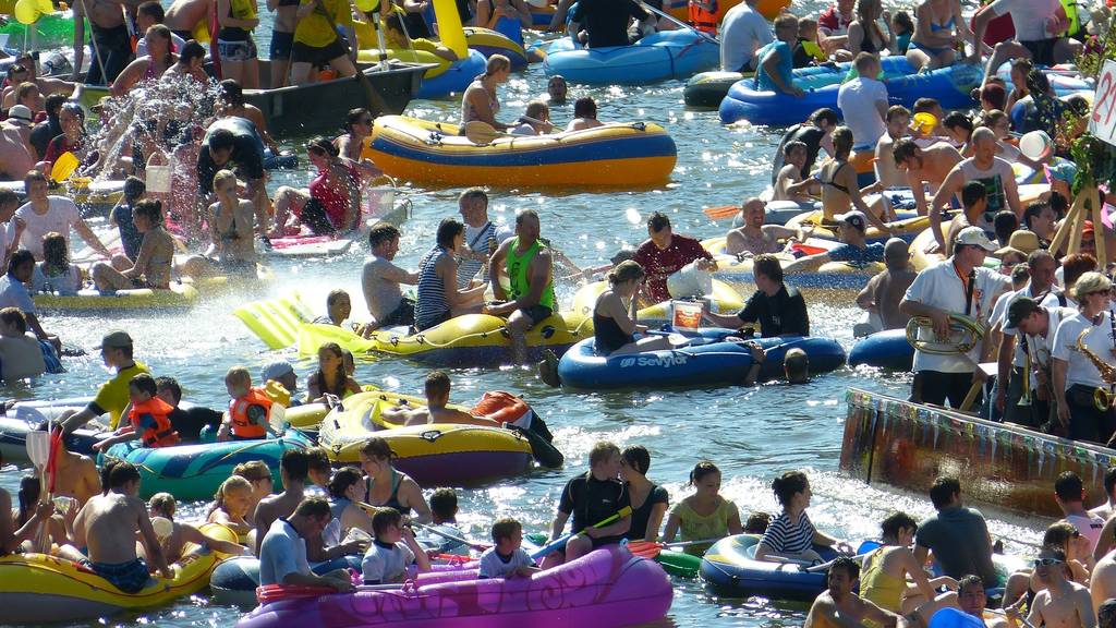 Einhörner, überall Einhörner