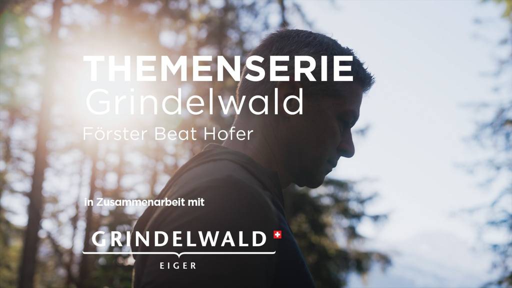 Förster Beat Hofer und der Wald