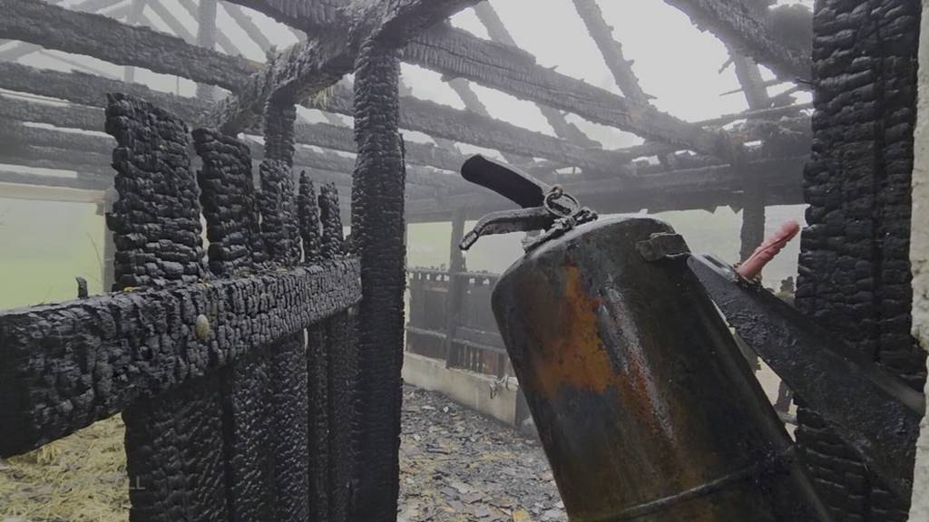 Pferdestall zerstört: In Hochwald wurde altes Heu fahrlässig verbrannt