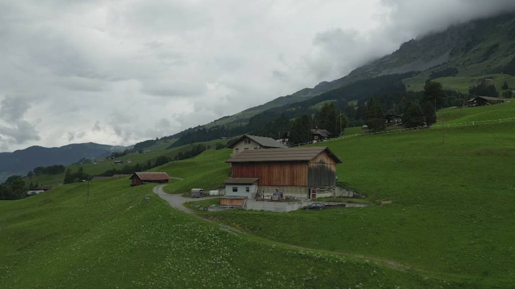 Freiwillige Helfer für Bergbauern