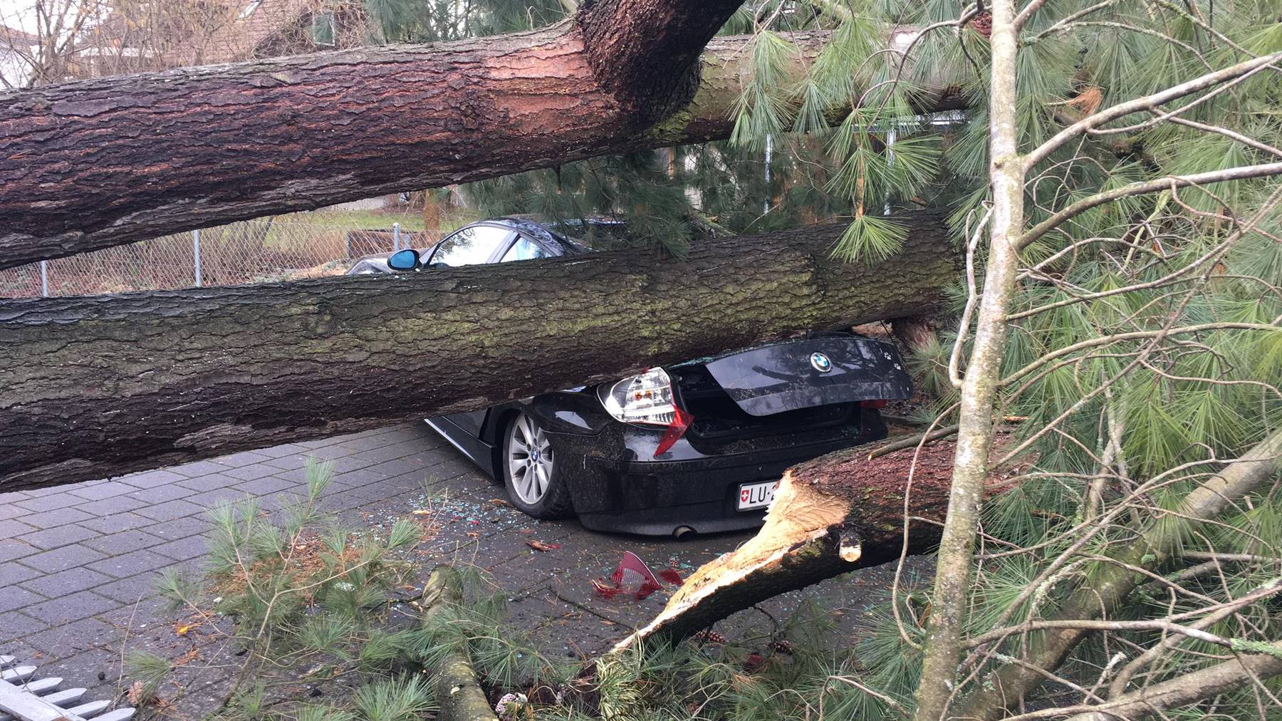 Sturmschäden an Haus, Auto und Garten wer zahlt was? PilatusToday