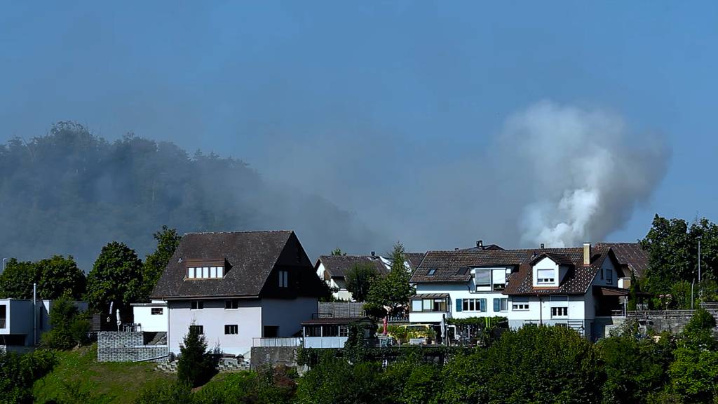 Feuerwehr kann Brand in Bremgarten b. Bern umgehend löschen