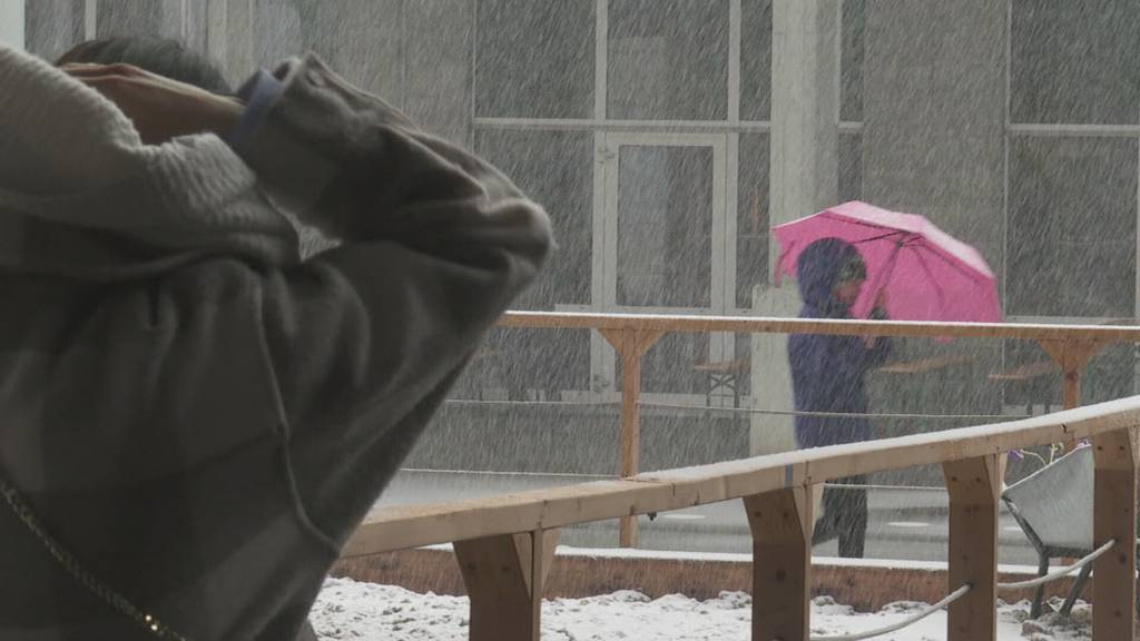 Offa zieht trotz Winterwetter gute Bilanz – beim Jahrmarkt siehts anders aus