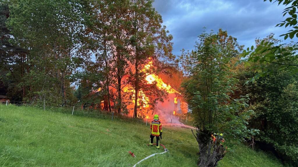 Das Holzhaus brannte komplett nieder.