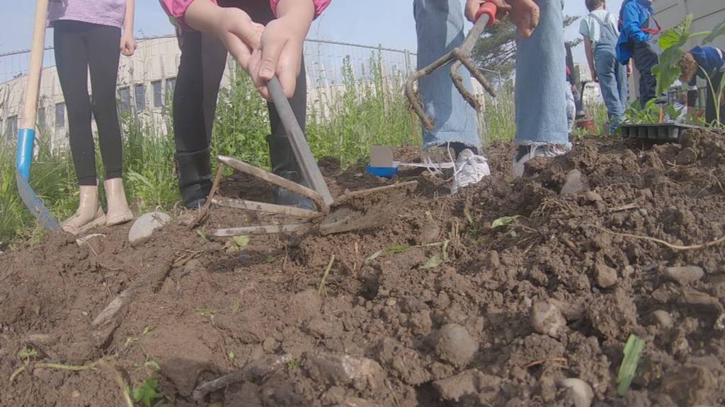 Projekt «AckerRacker» soll Kinder für Natur begeistern