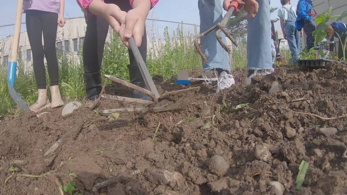 Projekt «AckerRacker» soll Kinder für Natur begeistern