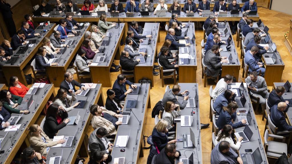 Die Oberwalliser Partei Neo stellt sieben Grossräte im Walliser Kantonsparlament. (Archivbild)