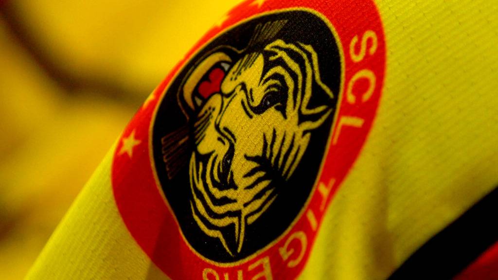Weiterer Schwede für die SCL Tigers
