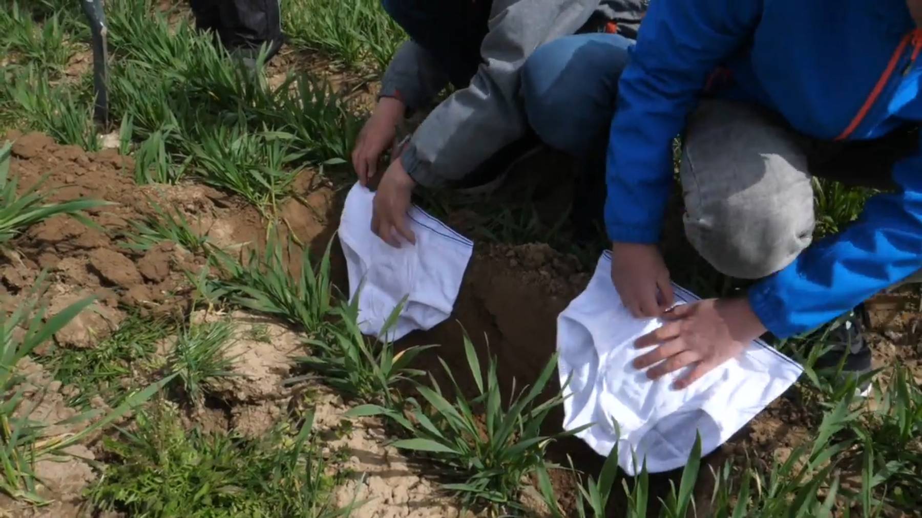 Die Hobby-Forscher vergraben Unterhosen im Garten. (Archivbild)