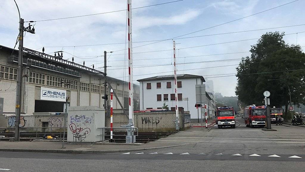 Mit einem Grossaufgebot musste die Feuerwehr am Mittwoch in den Basler Rheinhafen ausrücken. In einer Lagerhalle, in der 15'000 Tonnen Sojaschrot eingelagert sind, war ein Brand ausgebrochen.