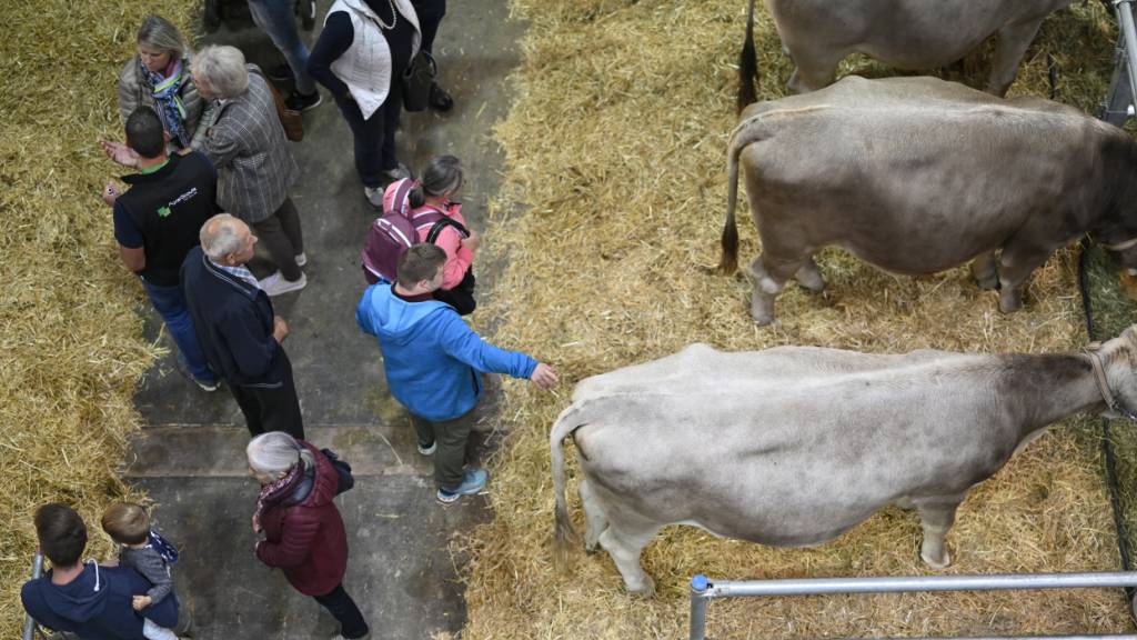 Tierausstellungen sind ein fester Bestandteil der alljährlichen Olma-Messe.