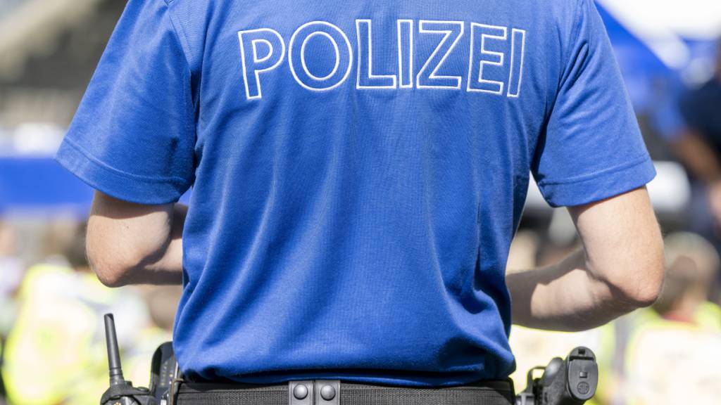 Mann wird bei Schlägerei im Luzerner Inselipark erheblich verletzt