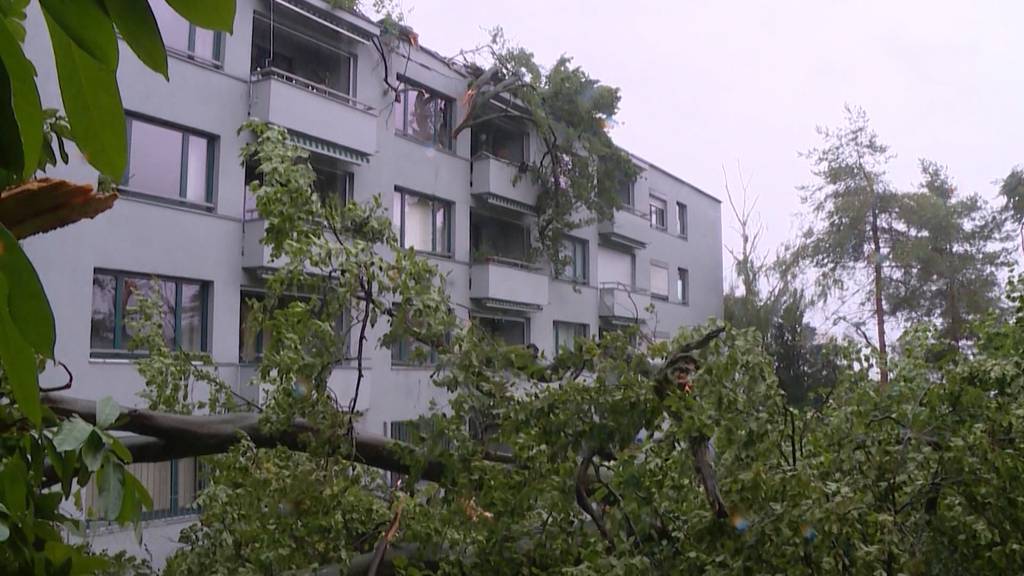 Grosse Sturmschäden in Zürich: Umgefallene Bäume und überflutete Strassen