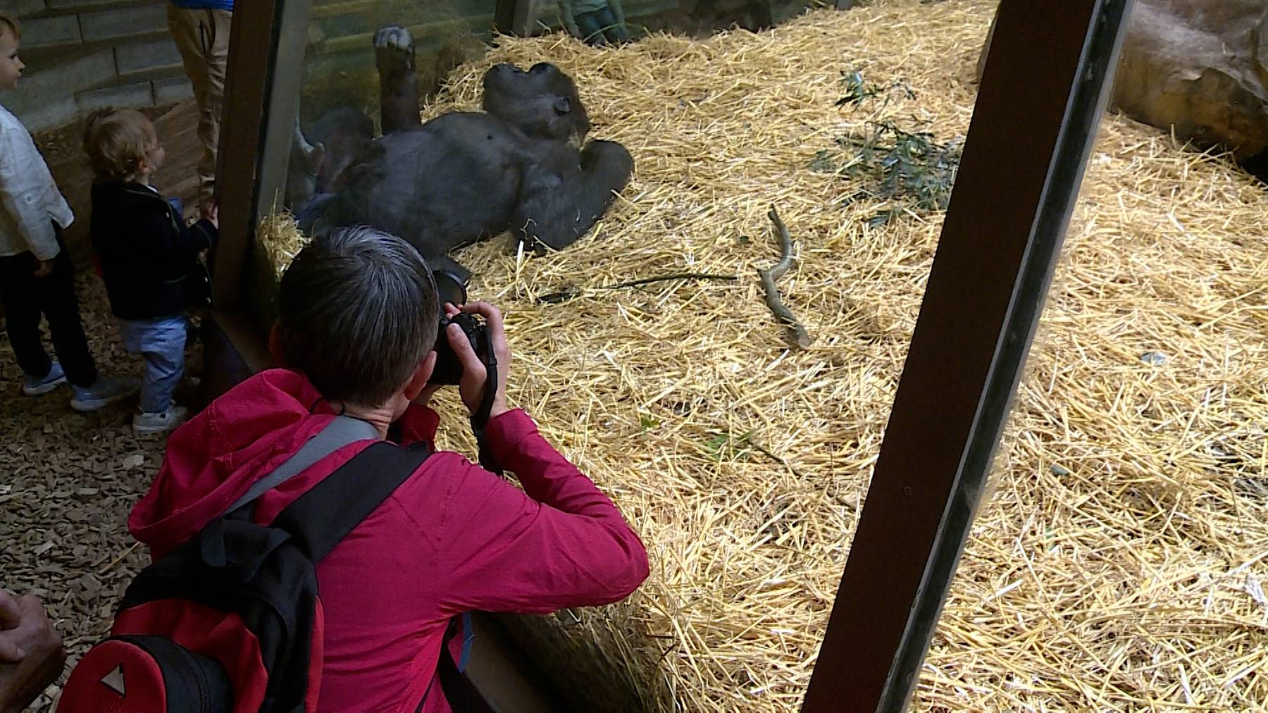 Tierfotografie