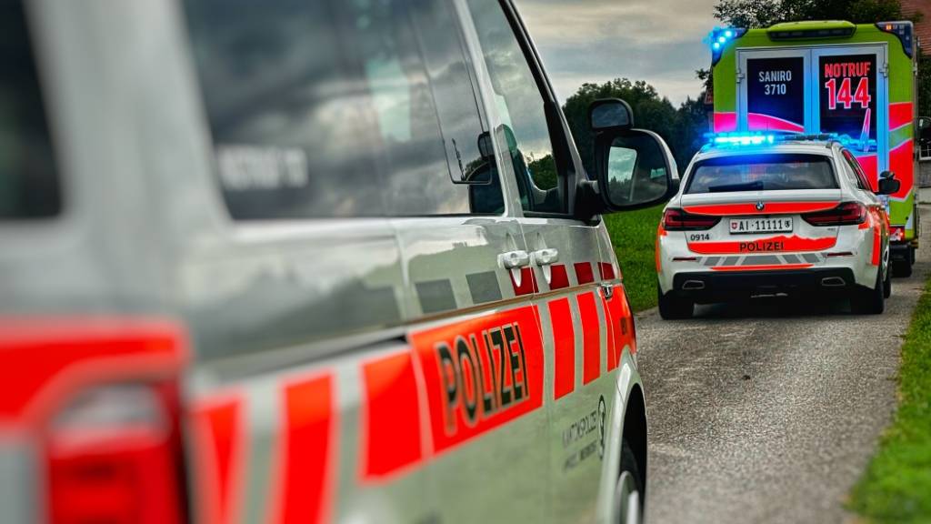 Der Rettungsdienst versorgte den verletzten Landwirt in Appenzell am Samstagnachmittag.