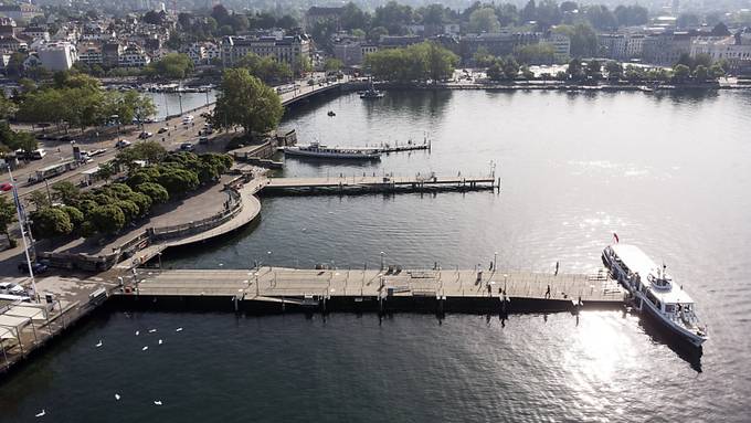 IG Seepärke will keine Verzögerungstaktik für Zürichsee-Park
