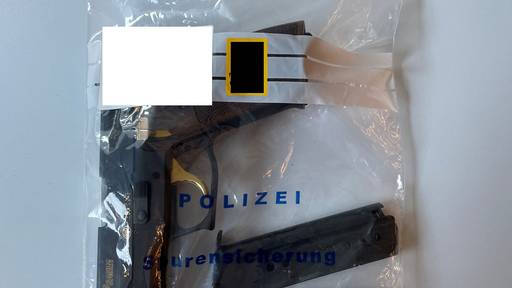 Zürcher Polizei stellt bei Club-Razzia Waffen sicher und nimmt Dutzende fest