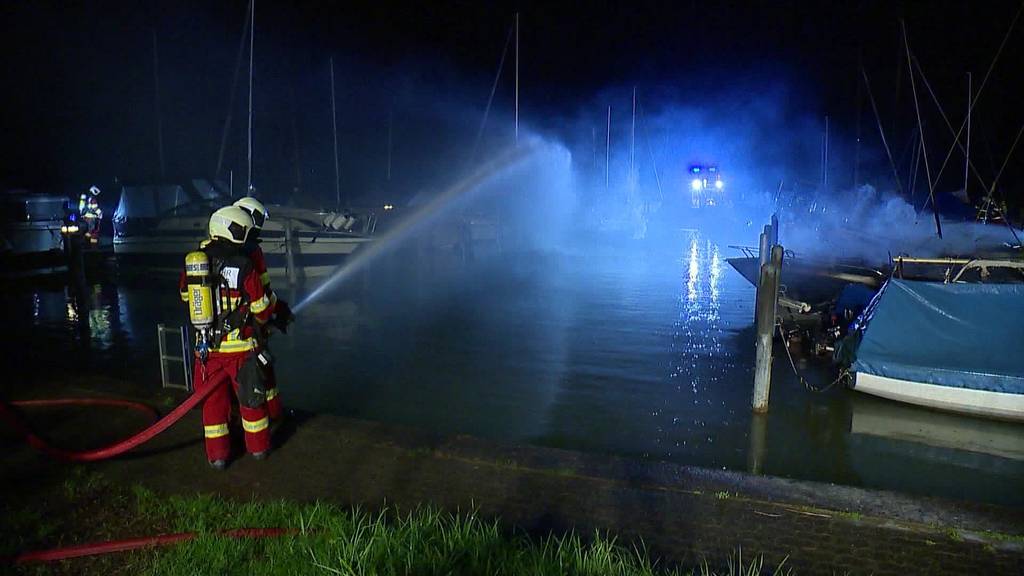 Millionenschaden: Grossbrand in Lachen zerstört zehn Schiffe