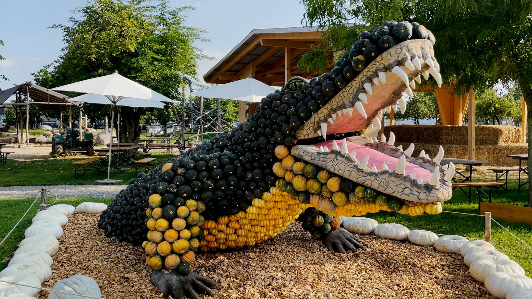 Krokodil aus Kürbissen: Eine von vielen Skulpturen auf dem Bächlihof.