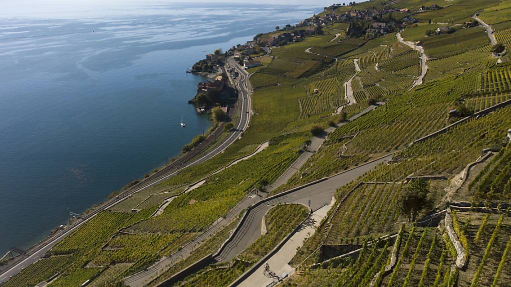 Auch die Schweizer Weinbauern leiden unter der Corona-Krise und erhalten nun vom Bund zehn Millionen Franken, damit sie ihre Weine herabstufen. (Archivbild)