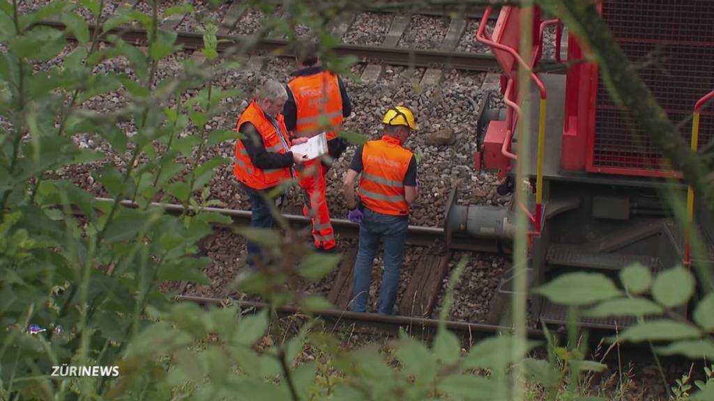 SBB-Mitarbeiter stirbt bei Unfall im Gleisbereich