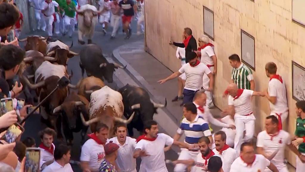 Stierhatz in Pamplona: 50 verletzte Läufer