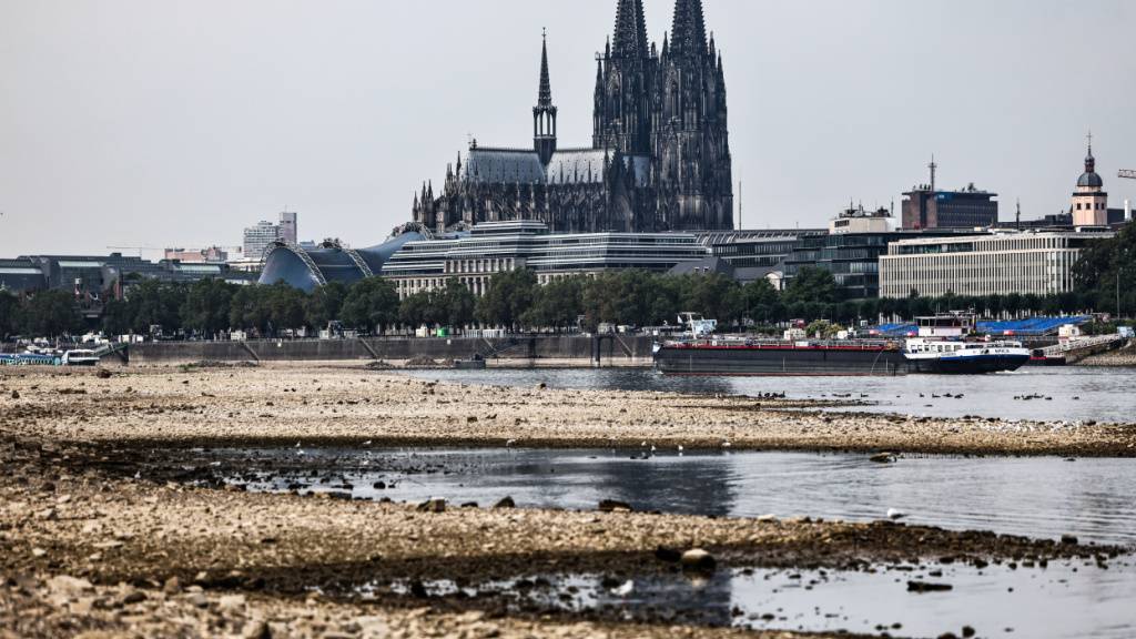 Die lange Trockenheit hat den Pegel des Rheins weiter fallen lassen. Bei Köln wurden Tiefststände erreicht. Im Bild zu sehen die Situation Ende Juli, die sich noch weiter zugespitzt hat. (Archivbild)
