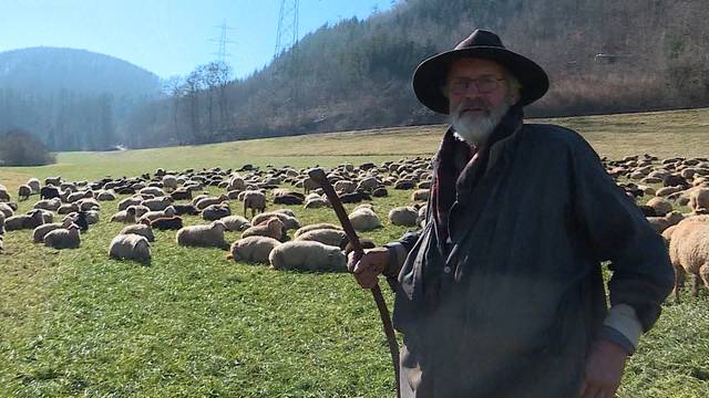 Wie in alten Zeiten: Schäfer zieht durch den Aargau