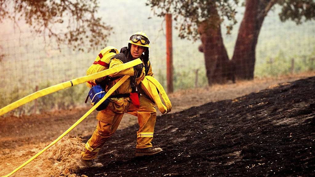 Ein Feuerwehrmann im Einsatz gegen das «Glass Fire», das in einem Weingut brennt. Foto: Noah Berger/AP/dpa