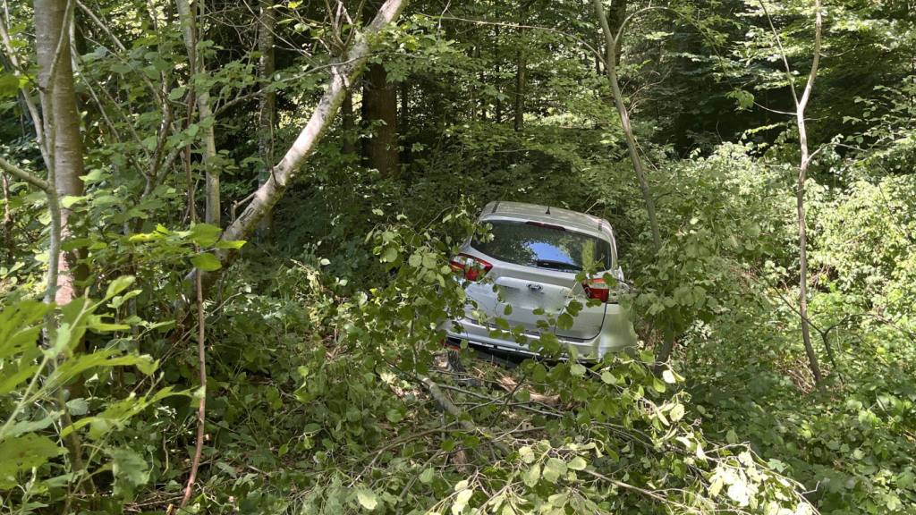 Ein spektakulärer Unfall auf der A2 in Sursee LU endete glimpflich.
