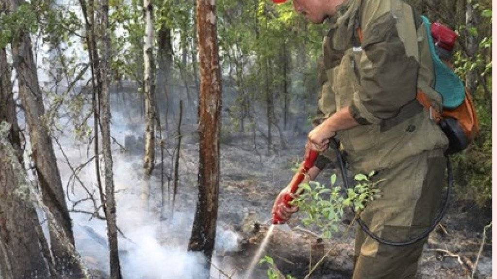 Die Feuerwehr ist auch im Einsatz in der Region Krasnojarsk. Am Samstag zählten die Behörden insgesamt noch 174 Waldbrände auf einer Fläche von etwa 125'000 Hektar.