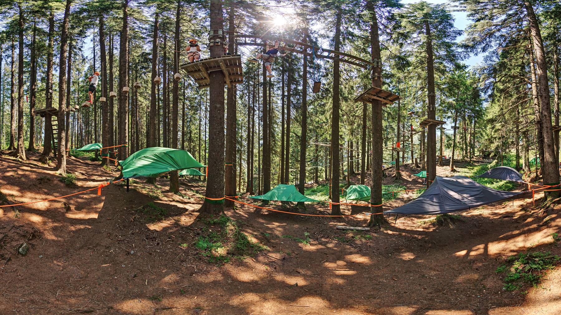 Tree-Tents