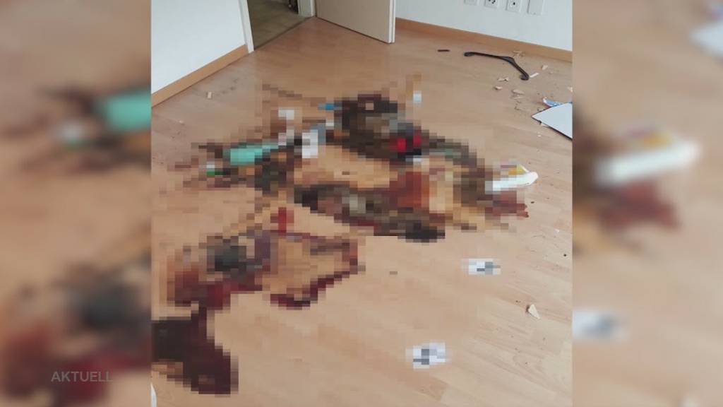 Ungültige Beweise?: Beschuldigter von Tötungsdelikt in Olten wehrt sich gegen Ermittlungsmethoden