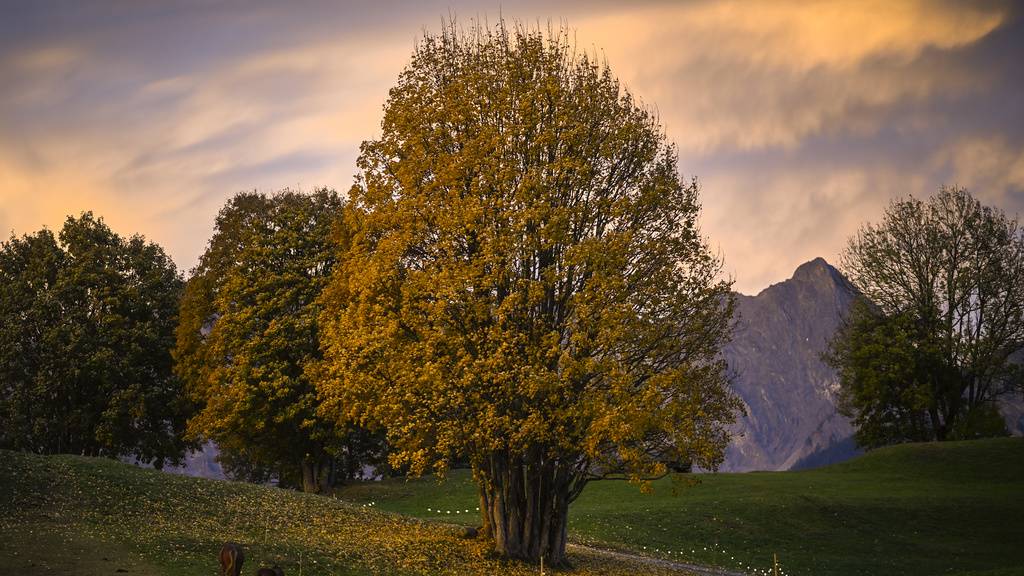 Herbst Schweiz 2021 (9)