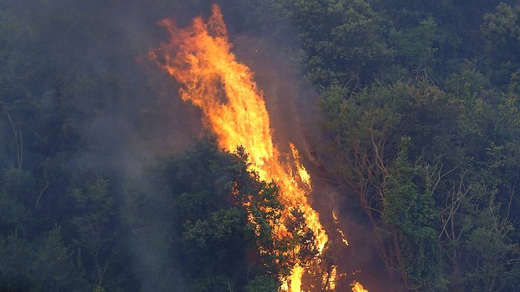 Bäume stehen in Flammen. Hunderte von Menschen in vielen kleinen Städten auf Sardinien wurden aus ihren Häusern in Sicherheit gebracht. Foto: Alessandro Tocco/LaPresse/AP/dpa