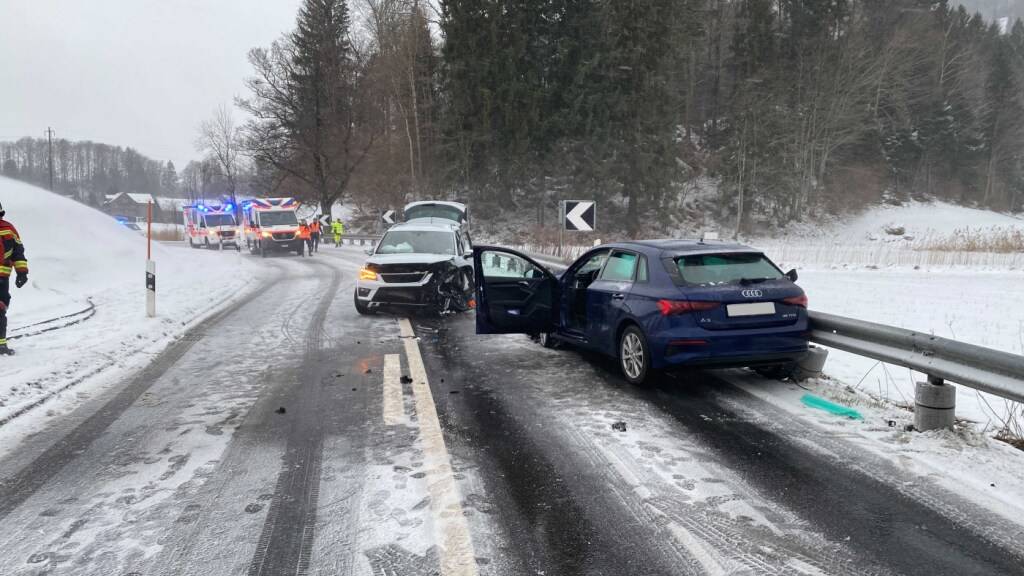 Die Lenkerinnen von zwei Autos mussten am Samstagnachmittag in Morgarten nach einer Frontalkollision ins Spital eingeliefert werden.