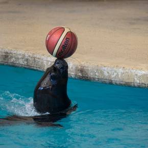 Céline alleine mit den Kindern im Zoo