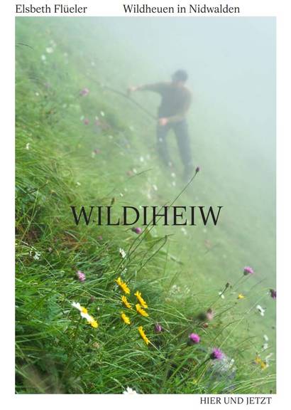 Buchcover Wildiheiw von Elsbeth Flüeler