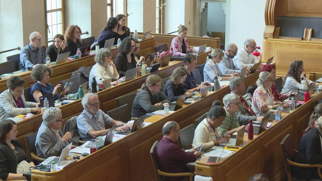 Grosser Rat sagt Nein zu strengerem Hundegesetz