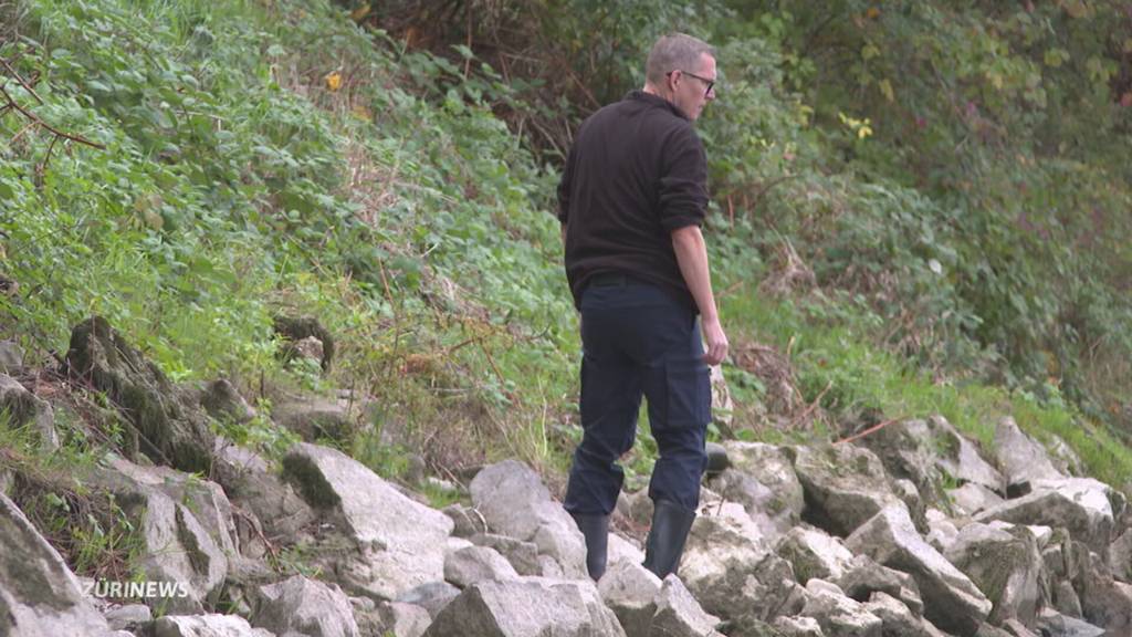 Leichenteile im Rhein: Was verrät die Tat über den Täter?