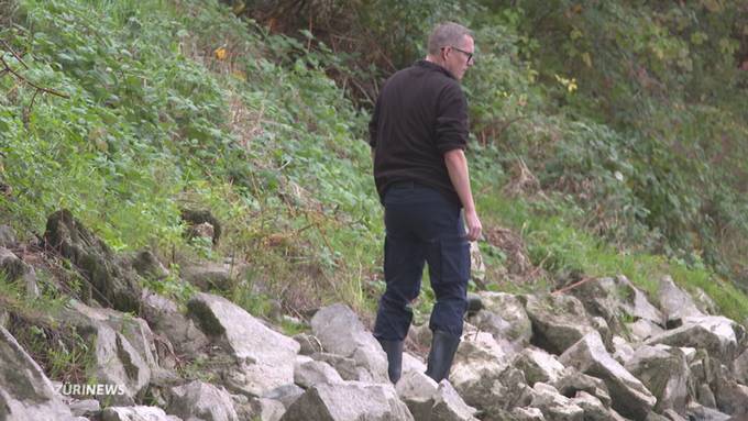 Leichenteile im Rhein: Was verrät die Tat über den Täter?