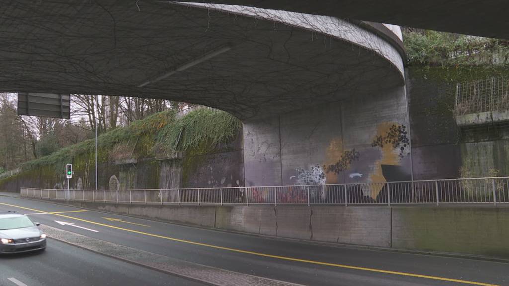«Verschönerte» Mauer in Rapperswil-Jona sorgt für Kopfschütteln