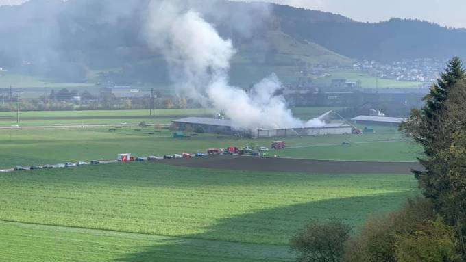 Hühnerfarm Dagmersellen: Brandursache geklärt