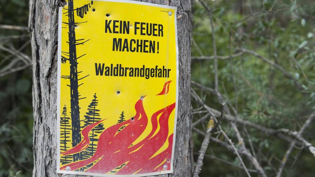 Kein Feuer im Wald – in den Kantonen St.Gallen und Thurgau gibt es schon ein Feuerverbot.